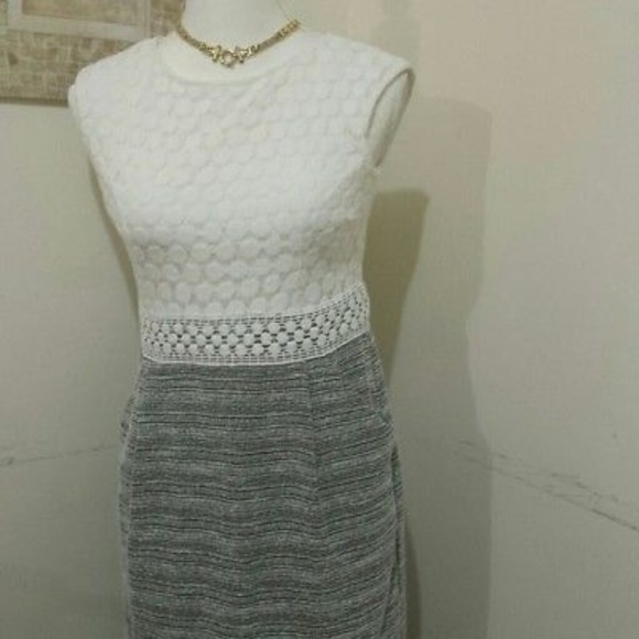 Sandra Darren Dresses & Skirts - *SALE* Sandra Darren cotton blend & lace dress 2P